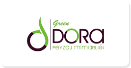 dora logo