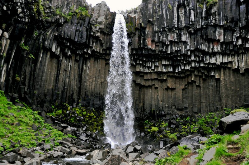 Svartifoss Şelalesi - İzlanda